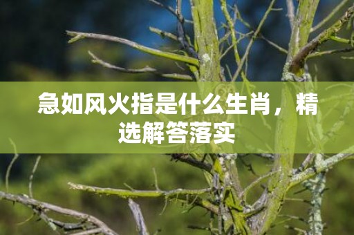 急如风火指是什么生肖，精选解答落实
