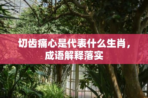 切齿痛心是代表什么生肖，成语解释落实