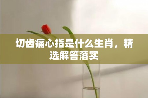 切齿痛心指是什么生肖，精选解答落实