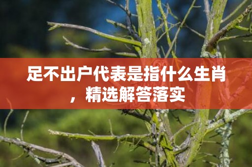 足不出户代表是指什么生肖，精选解答落实
