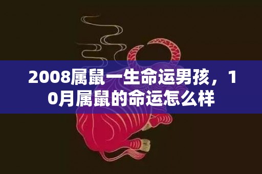 2008属鼠一生命运男孩，10月属鼠的命运怎么样