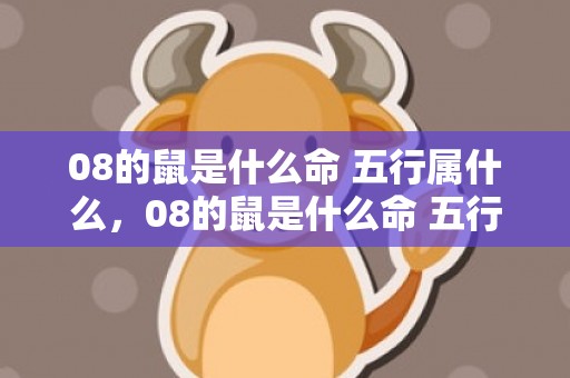 08的鼠是什么命 五行属什么，08的鼠是什么命 五行属什么