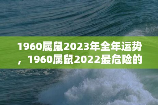 1960属鼠2023年全年运势，1960属鼠2022最危险的一个月