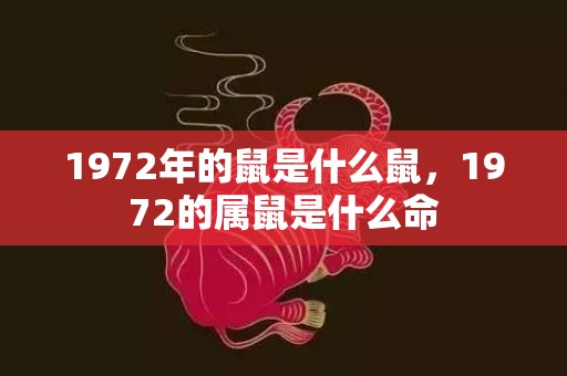 1972年的鼠是什么鼠，1972的属鼠是什么命