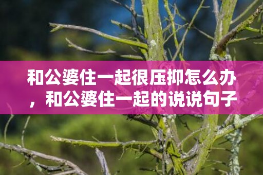 和公婆住一起很压抑怎么办，和公婆住一起的说说句子搞笑，带着公婆出来玩心情说说