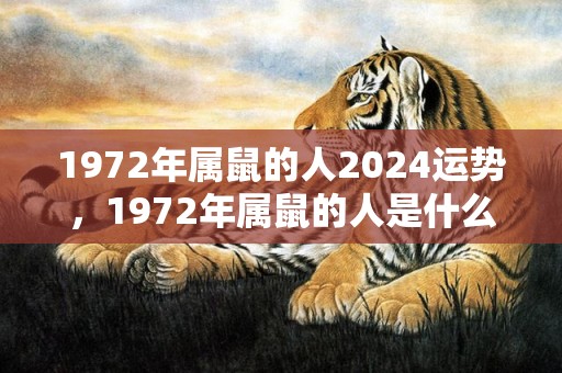 1972年属鼠的人2024运势，1972年属鼠的人是什么星座