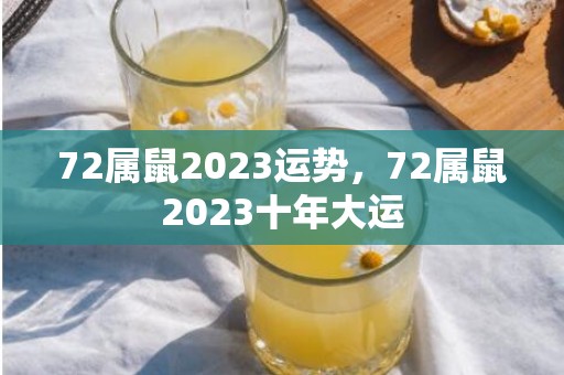 72属鼠2023运势，72属鼠2023十年大运