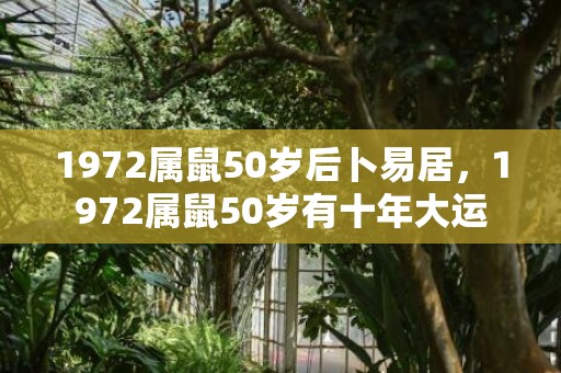 1972属鼠50岁后卜易居，1972属鼠50岁有十年大运
