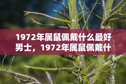 1972年属鼠佩戴什么最好男士，1972年属鼠佩戴什么首饰好