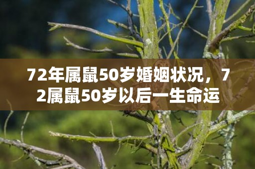 72年属鼠50岁婚姻状况，72属鼠50岁以后一生命运