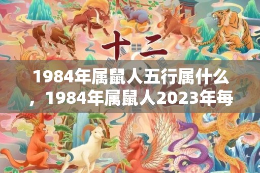 1984年属鼠人五行属什么，1984年属鼠人2023年每月运势及运程