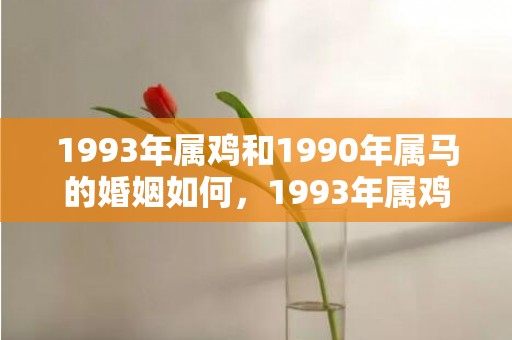 1993年属鸡和1990年属马的婚姻如何，1993年属鸡和1996年属鼠婚姻状况