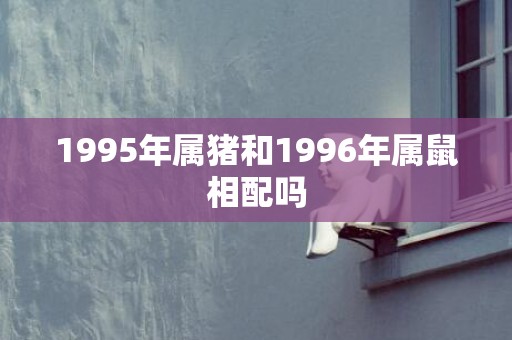 1995年属猪和1996年属鼠相配吗