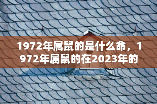 1972年属鼠的是什么命，1972年属鼠的在2023年的运势