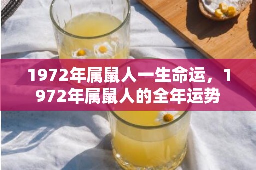 1972年属鼠人一生命运，1972年属鼠人的全年运势