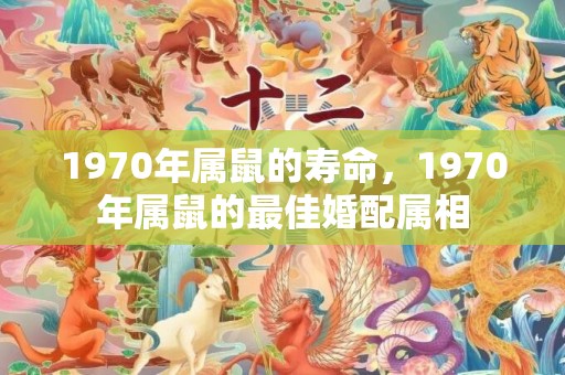 1970年属鼠的寿命，1970年属鼠的最佳婚配属相