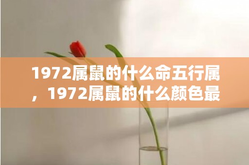 1972属鼠的什么命五行属，1972属鼠的什么颜色最旺