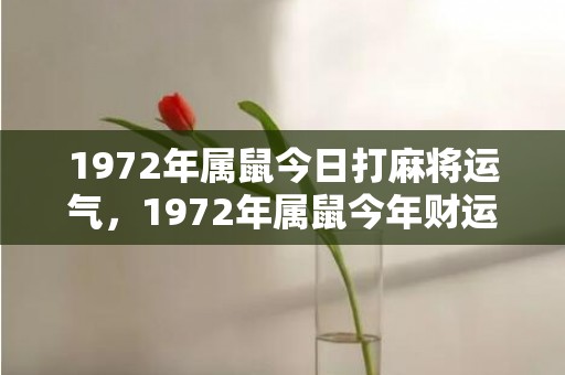 1972年属鼠今日打麻将运气，1972年属鼠今年财运