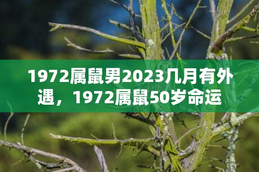 1972属鼠男2023几月有外遇，1972属鼠50岁命运