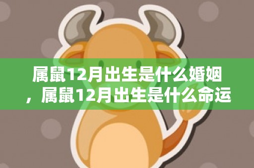 属鼠12月出生是什么婚姻，属鼠12月出生是什么命运