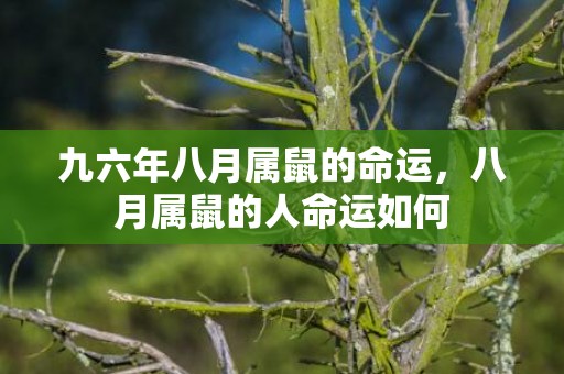 九六年八月属鼠的命运，八月属鼠的人命运如何