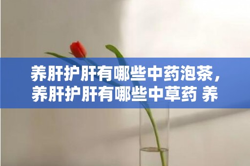 养肝护肝有哪些中药泡茶，养肝护肝有哪些中草药 养肝护肝有哪些中草药