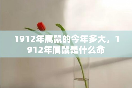 1912年属鼠的今年多大，1912年属鼠是什么命