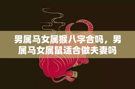 男属马女属猴八字合吗，男属马女属鼠适合做夫妻吗
