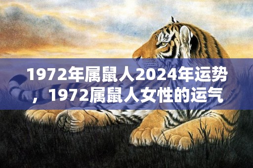1972年属鼠人2024年运势，1972属鼠人女性的运气