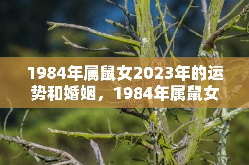 1984年属鼠女2023年的运势和婚姻，1984年属鼠女财运如何