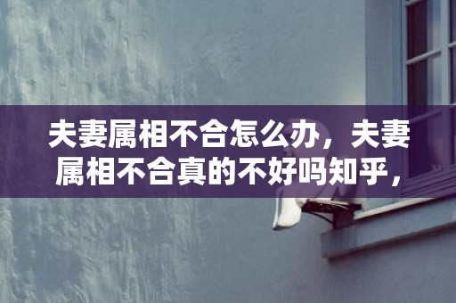 夫妻属相不合怎么办，夫妻属相不合真的不好吗知乎，三观不合 知乎