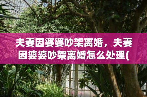 夫妻因婆婆吵架离婚，夫妻因婆婆吵架离婚怎么处理(公婆吵架离婚我该怎么调解)