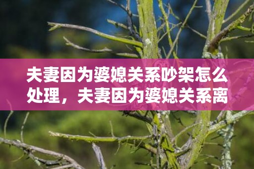 夫妻因为婆媳关系吵架怎么处理，夫妻因为婆媳关系离婚怎么离 婆媳关系恶劣想离婚