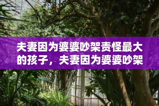 夫妻因为婆婆吵架责怪最大的孩子，夫妻因为婆婆吵架冷战怎么办 婆婆和媳妇冷战的后果
