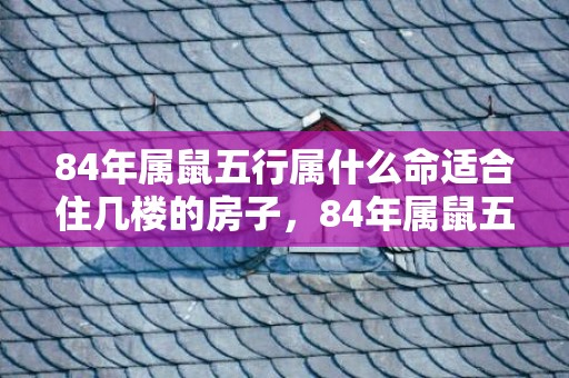84年属鼠五行属什么命适合住几楼的房子，84年属鼠五行属什么