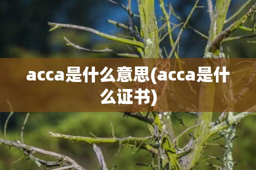 acca是什么意思(acca是什么证书)