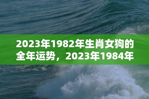 2023年1982年生肖女狗的全年运势，2023年1984年属鼠人的每月运势