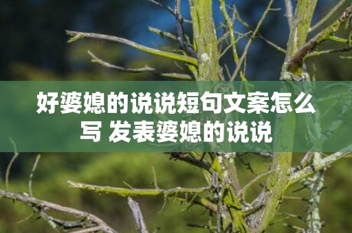 好婆媳的说说短句文案怎么写 发表婆媳的说说