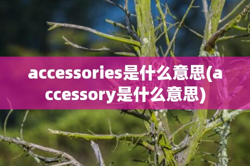 accessories是什么意思(accessory是什么意思)