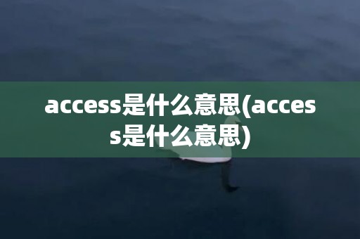 access是什么意思(access是什么意思)