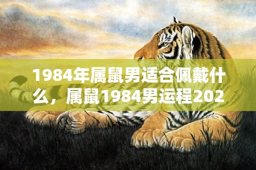 1984年属鼠男适合佩戴什么，属鼠1984男运程2023