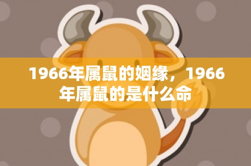 1966年属鼠的姻缘，1966年属鼠的是什么命