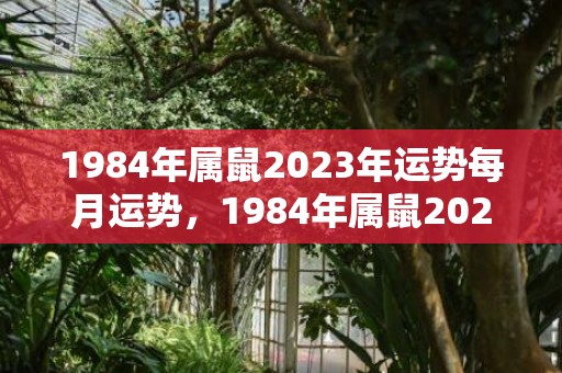 1984年属鼠2023年运势每月运势，1984年属鼠2023年工作