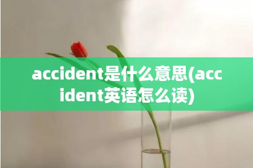 accident是什么意思(accident英语怎么读)