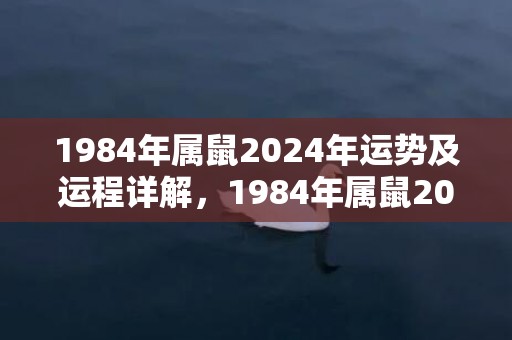 1984年属鼠2024年运势及运程详解，1984年属鼠2023年运势及运程男性