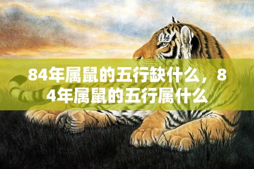 84年属鼠的五行缺什么，84年属鼠的五行属什么