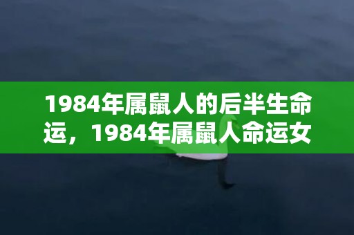 1984年属鼠人的后半生命运，1984年属鼠人命运女