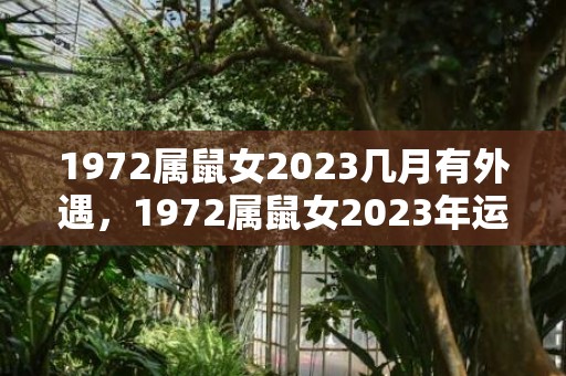 1972属鼠女2023几月有外遇，1972属鼠女2023年运势及运程