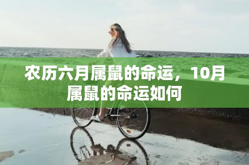 农历六月属鼠的命运，10月属鼠的命运如何