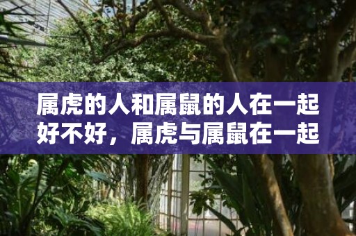 属虎的人和属鼠的人在一起好不好，属虎与属鼠在一起事业怎么样